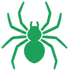 Spiders