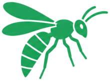 Wasps